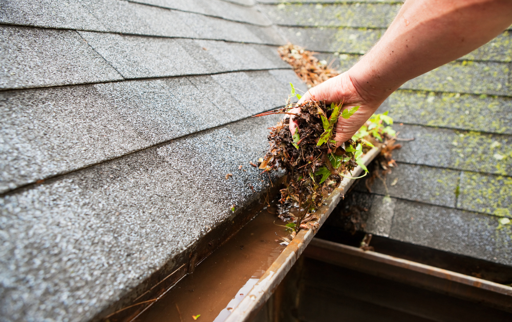 Blocked gutters and a roofer is trying to unblock them by removing waste material