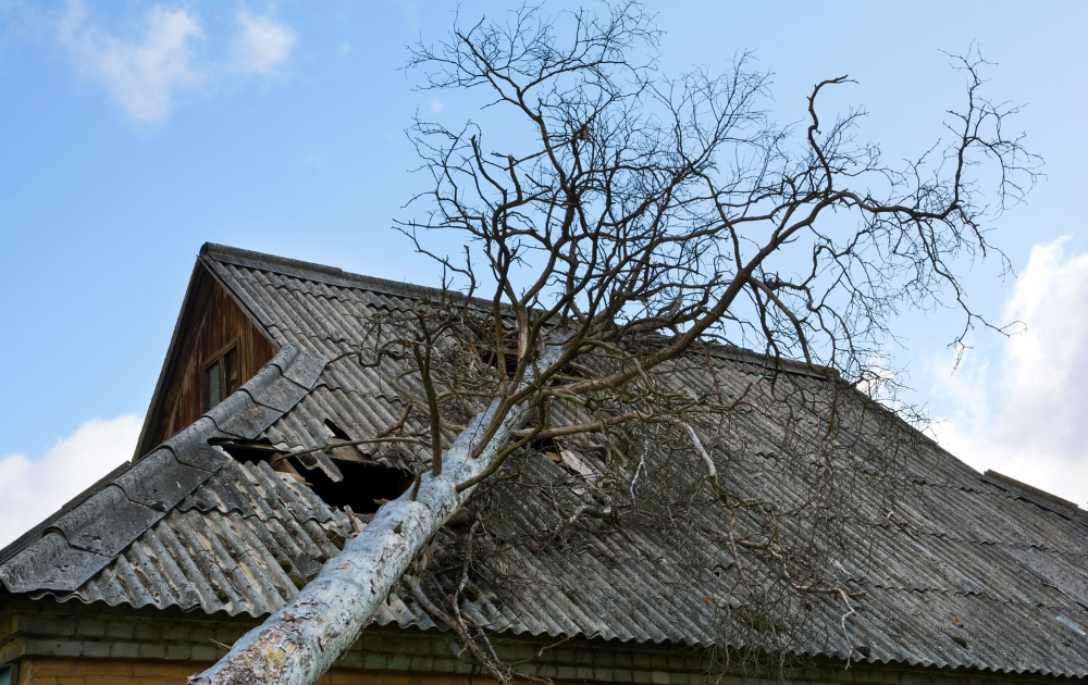 Stormy weather conditions damaging the upper part of a roof and a fallen tree