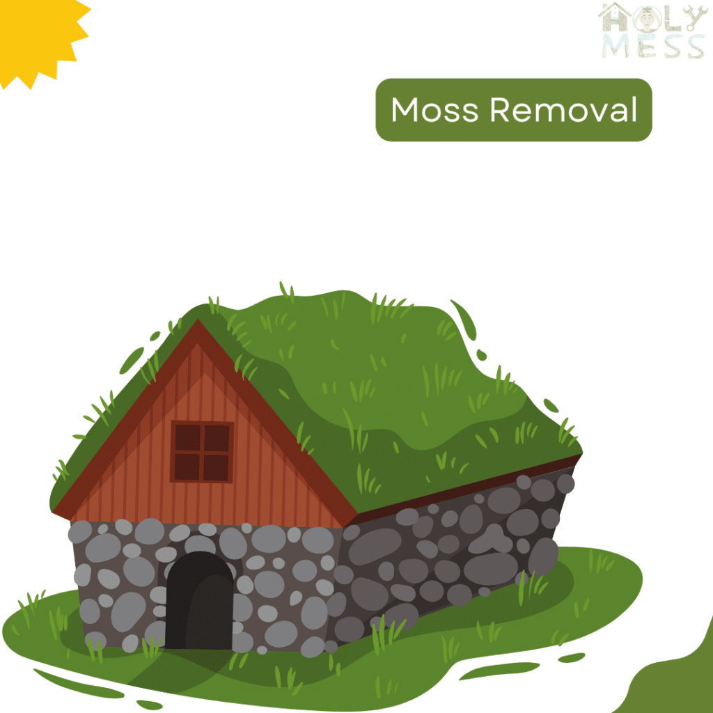 moss removal image holymess repairs