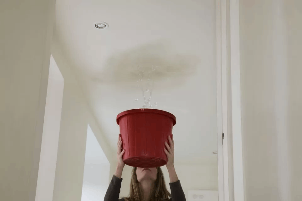 roof leak plumbing service
