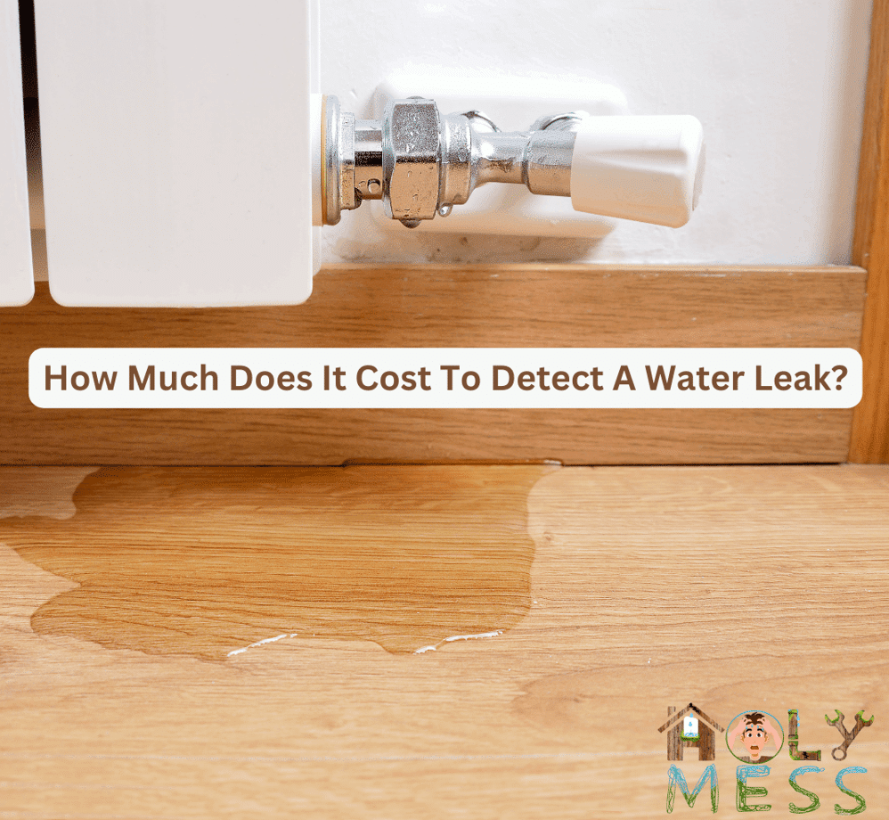 How Much Does It Cost To Detect A Water Leak