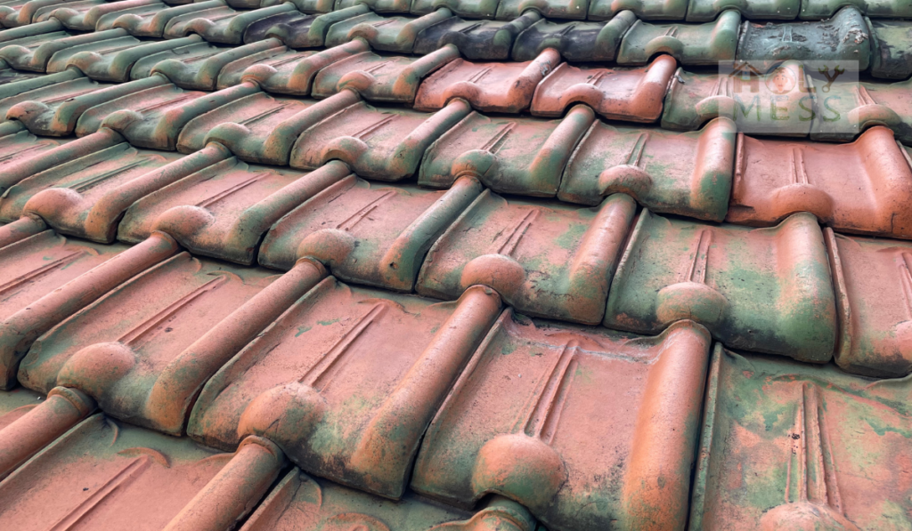 Can You Paint Terracotta Roof Tiles? - ceramic roof tiles