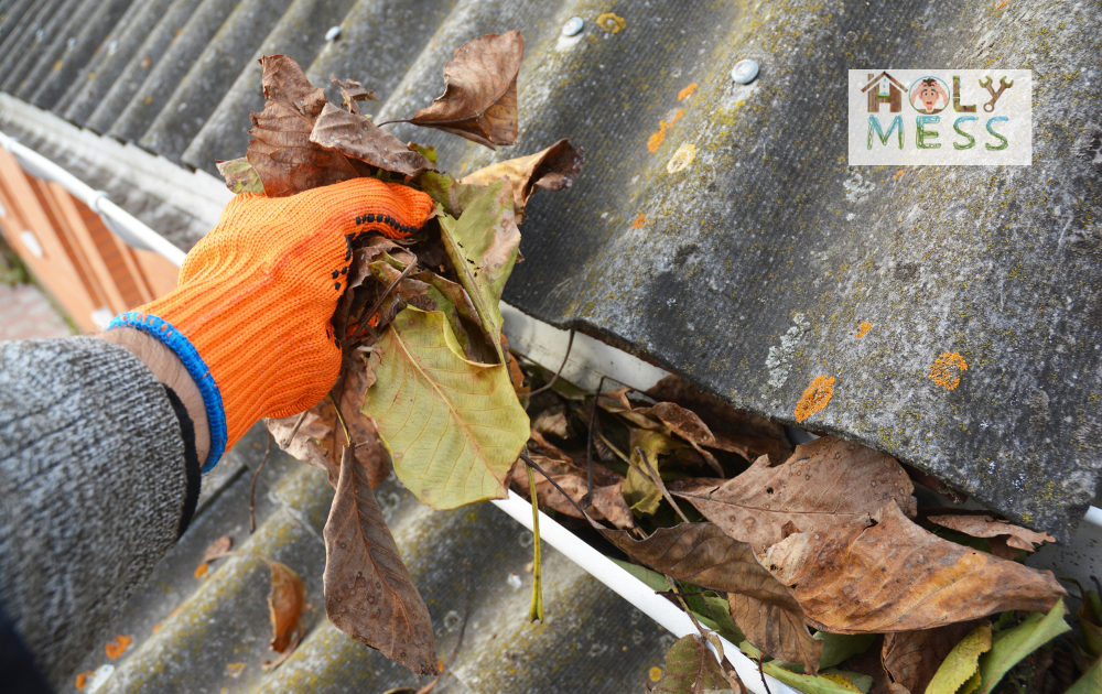 roof gutter inspection