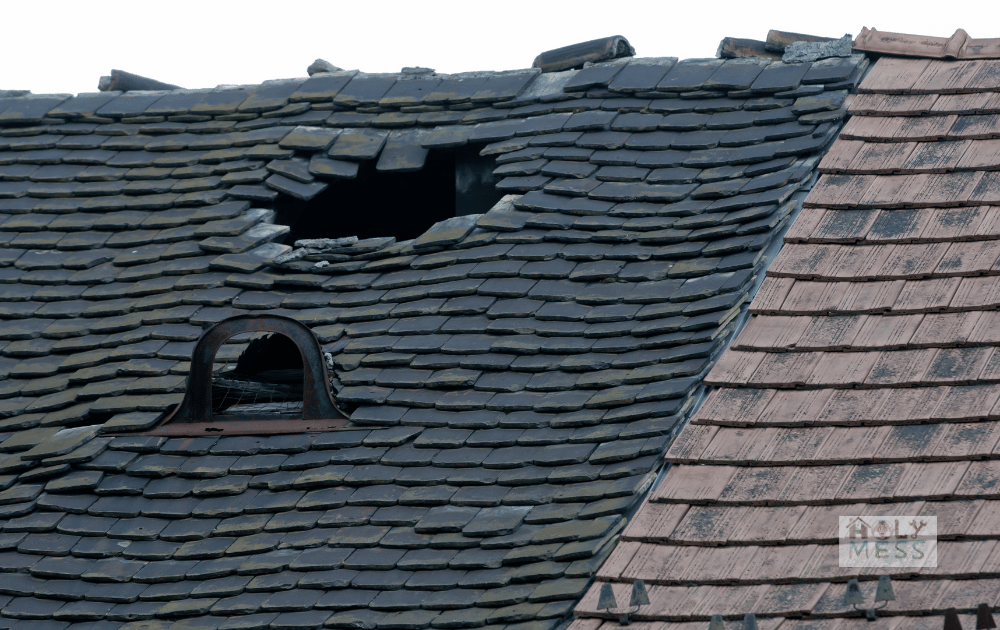 missing shingles roof
