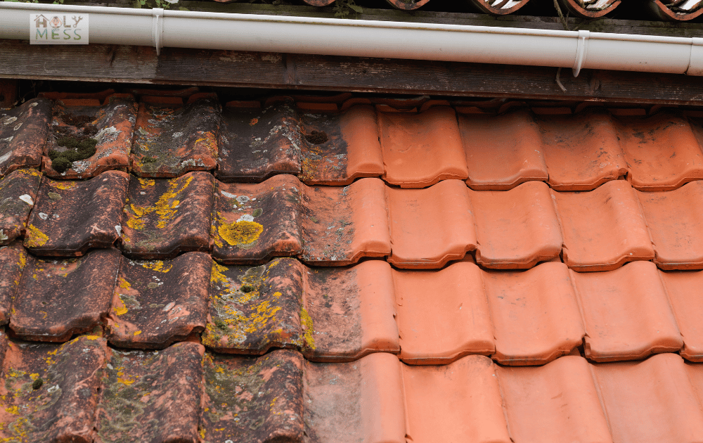 roof with moss build