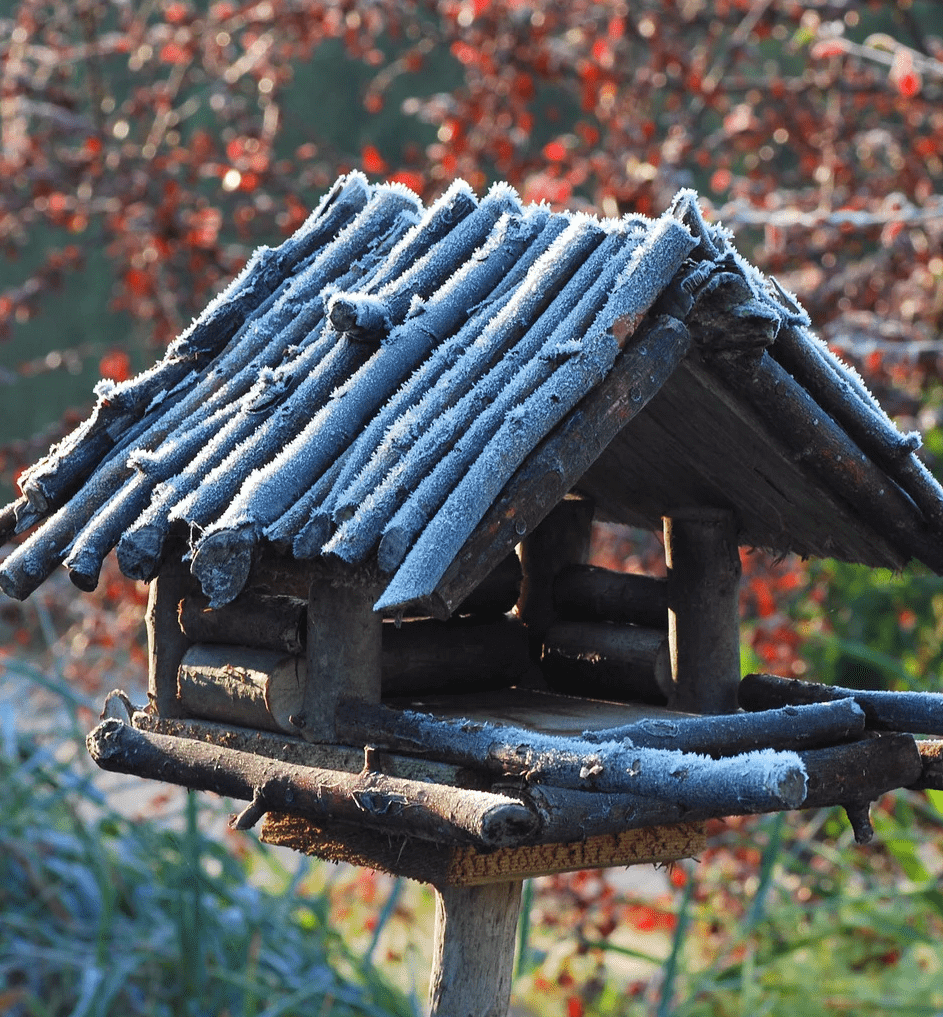 wooden bird house