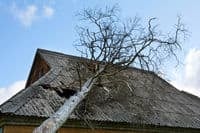 Stormy weather conditions damaging the upper part of a roof and a fallen tree