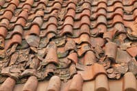 Broken tiles ripped off above the roof