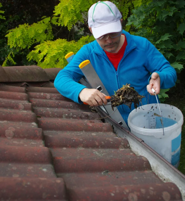 Gutter replacement berwick