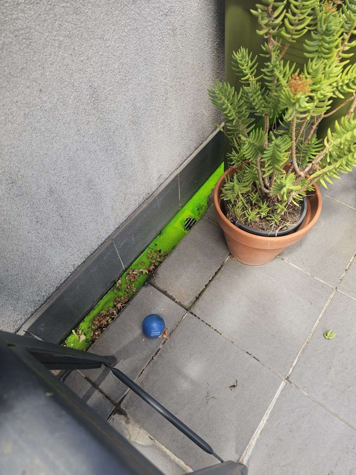 Green dye poured into a balcony floor waste to test for a waterproofing leak (one of our Melbourne jobs)
