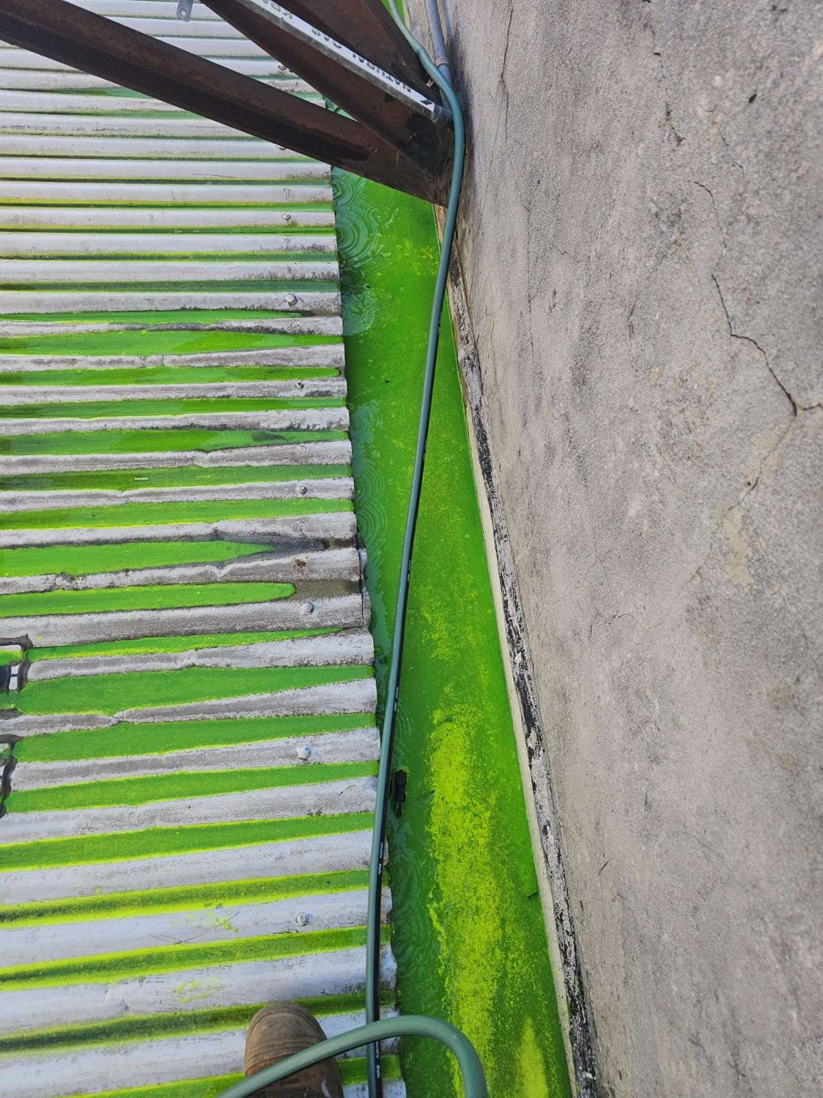 Green dye flowing along a box gutter during a leak test on a Northcote restaurant roof
