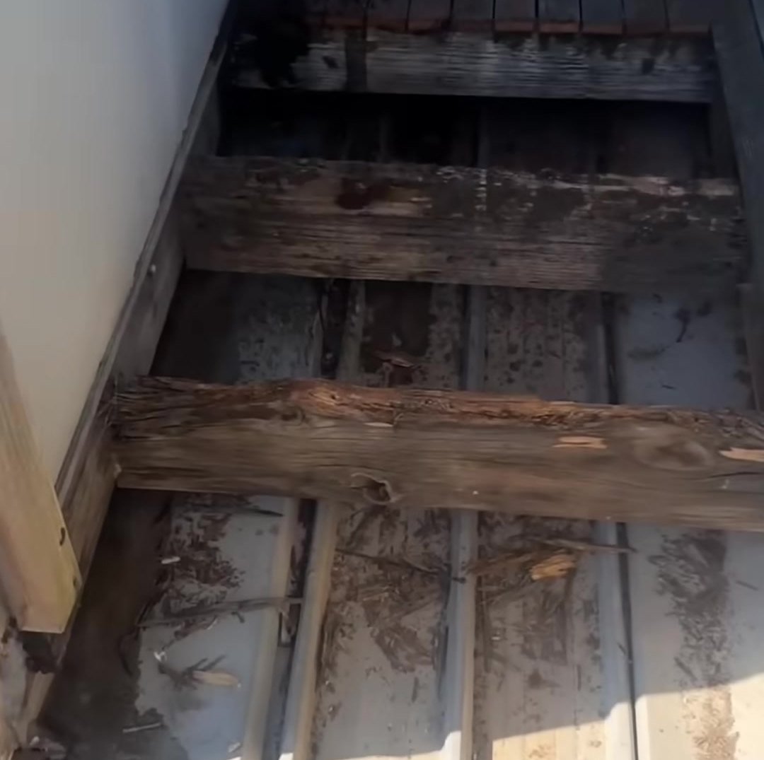 Rotted timber framing found under balcony boards after a long-running leak in Melbourne